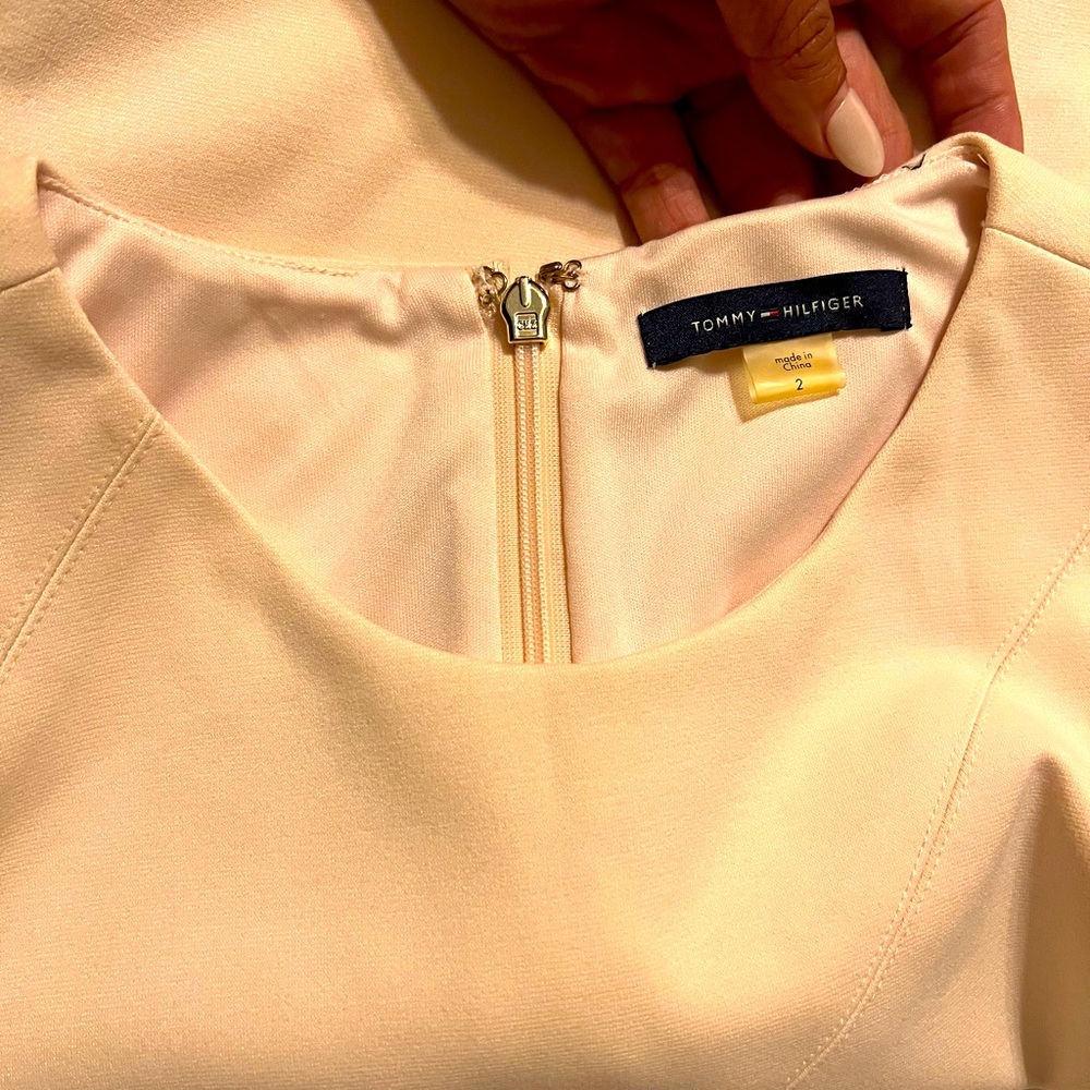 Professional dress
